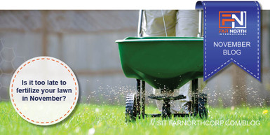 Is It Too Late To Fertilize Your Lawn In November?