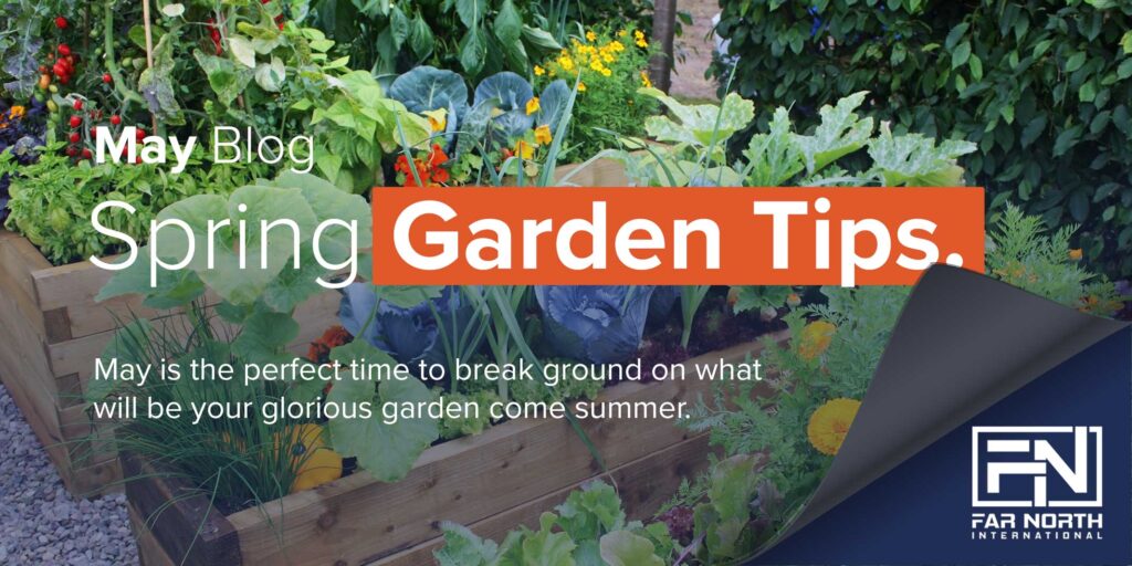 Spring Garden Tips